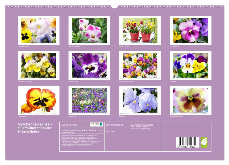 Veilchengewächse - Stiefmütterchen und Hornveilchen (CALVENDO Premium Wandkalender 2027)
