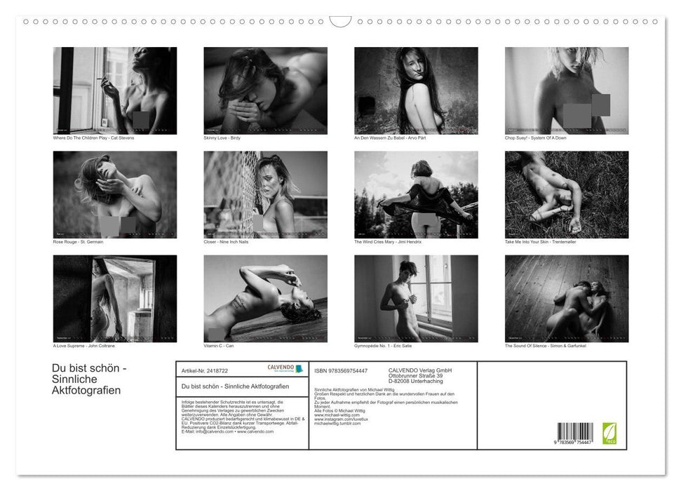Du bist schön - Sinnliche Aktfotografien (CALVENDO Wandkalender 2027)