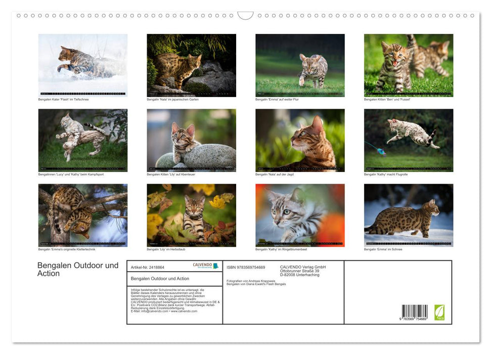 Bengalen Outdoor und Action (CALVENDO Wandkalender 2027)