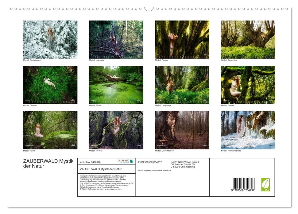 ZAUBERWALD Mystik der Natur (CALVENDO Premium Wandkalender 2027)
