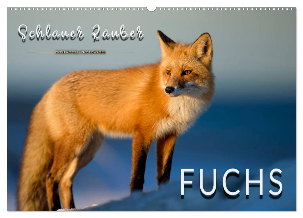 Fuchs - schlauer Räuber (CALVENDO Wandkalender 2027)