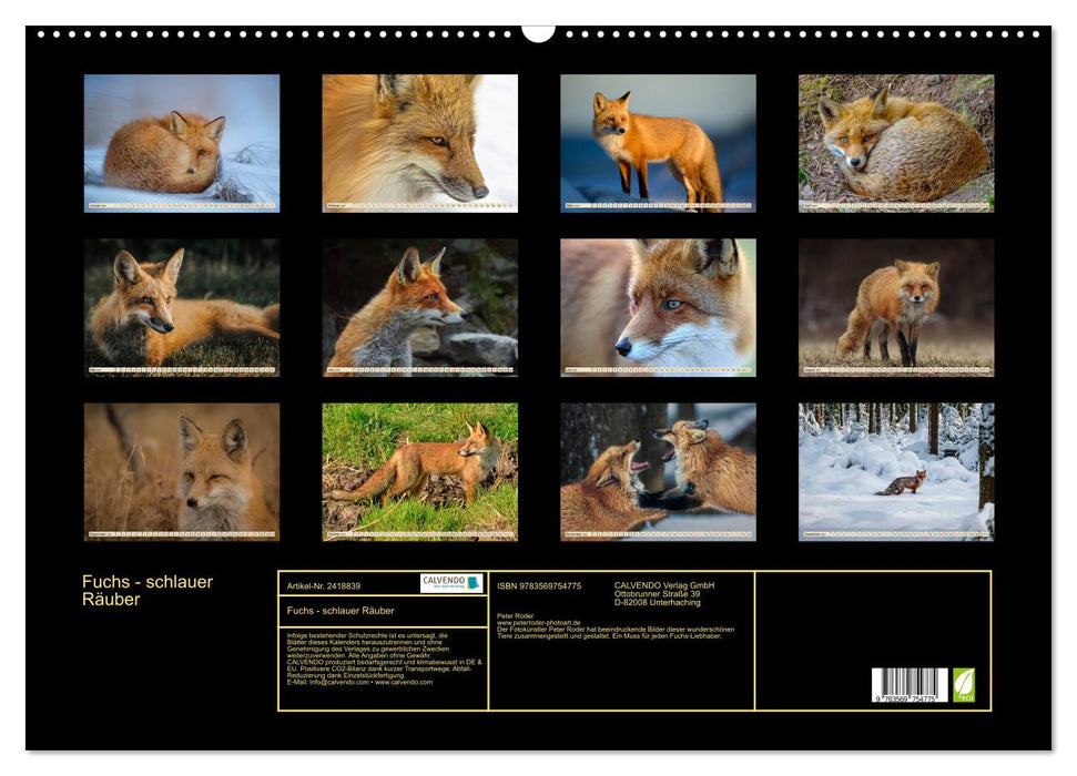Fuchs - schlauer Räuber (CALVENDO Wandkalender 2027)