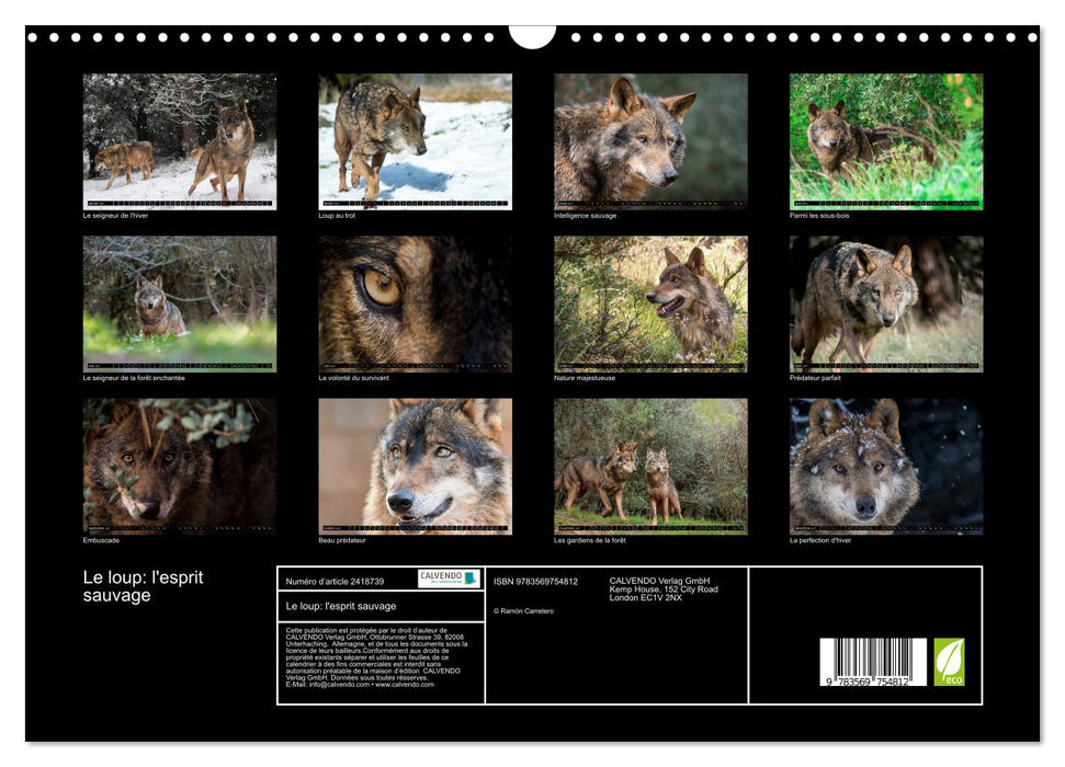 Le loup: l'esprit sauvage (CALVENDO Calendrier mensuel 2027)