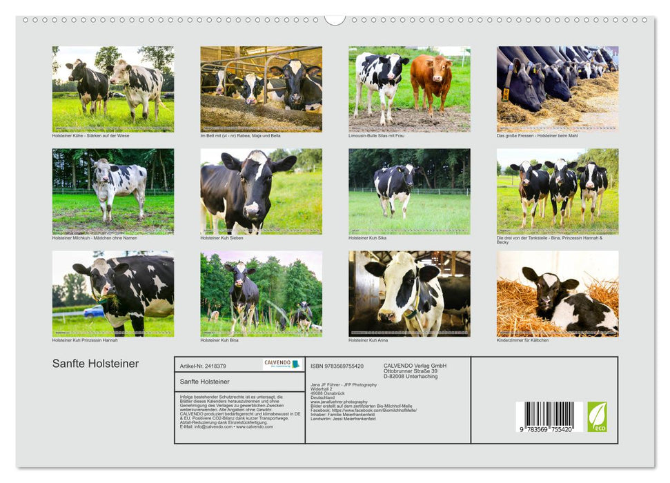 Sanfte Holsteiner (CALVENDO Premium Wandkalender 2027)