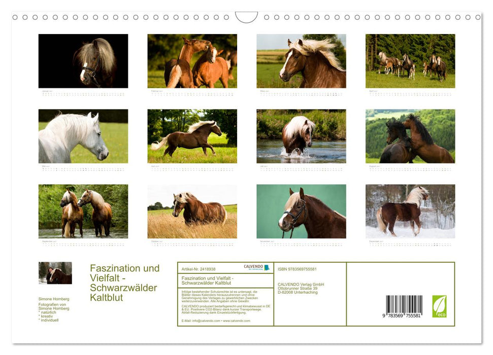 Faszination und Vielfalt - Schwarzwälder Kaltblut (CALVENDO Wandkalender 2027)