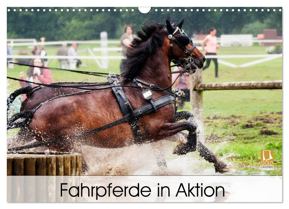 Fahrpferde in Aktion (CALVENDO Wandkalender 2027)