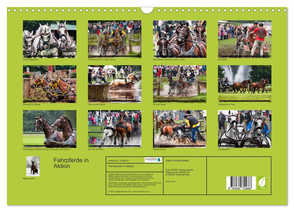Fahrpferde in Aktion (CALVENDO Wandkalender 2027)