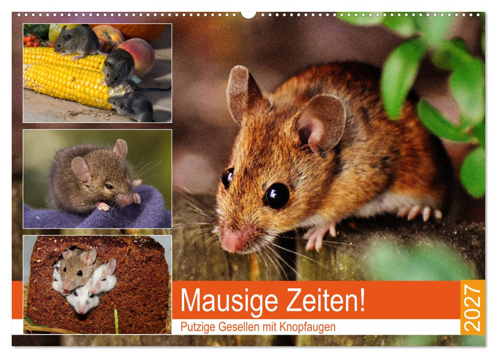 Mausige Zeiten! Putzige Gesellen mit Knopfaugen (CALVENDO Wandkalender 2027)