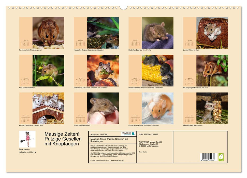 Mausige Zeiten! Putzige Gesellen mit Knopfaugen (CALVENDO Wandkalender 2027)