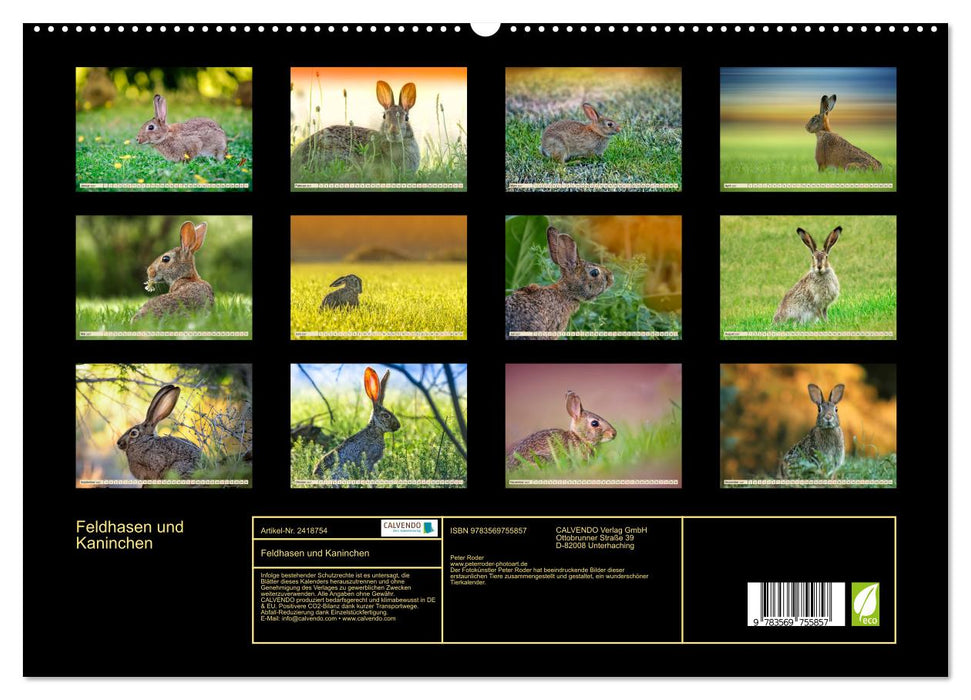 Feldhasen und Kaninchen (CALVENDO Premium Wandkalender 2027)