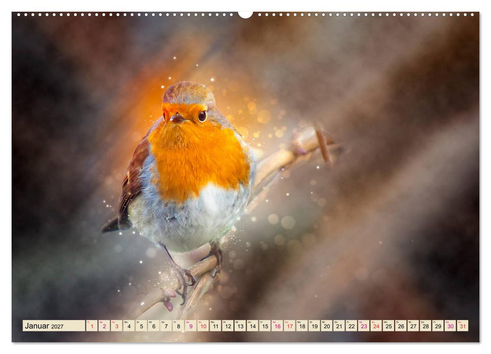 Bei uns im Garten - Rotkehlchen (CALVENDO Wandkalender 2027)