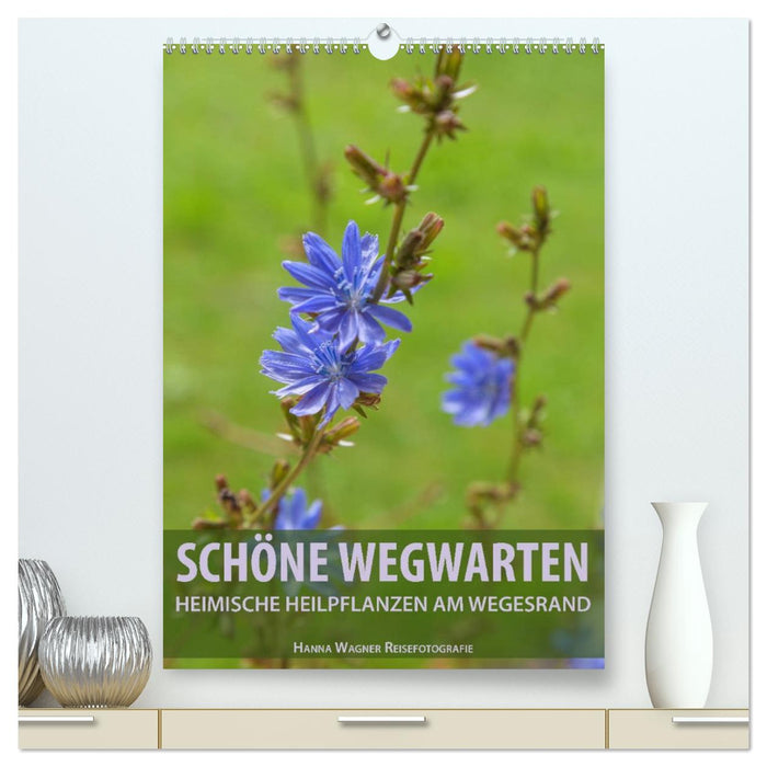 Schöne Wegwarten. Heimische Heilpflanzen am Wegesrand (CALVENDO Premium Wandkalender 2027)