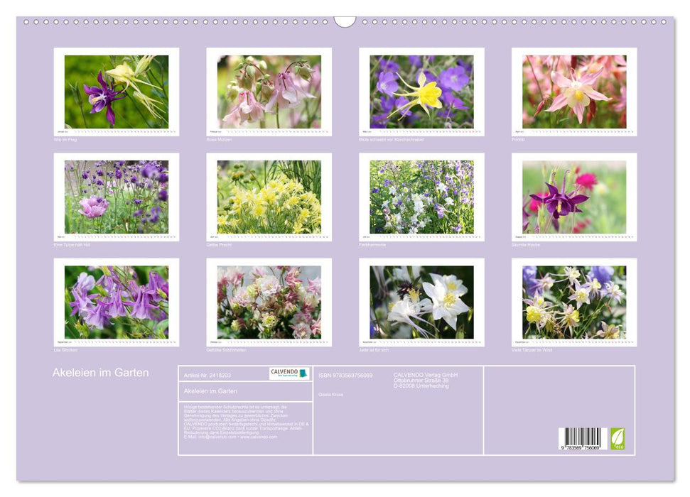 Akeleien im Garten (CALVENDO Wandkalender 2027)