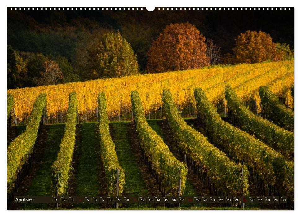 Wein - Landschaften (CALVENDO Premium Wandkalender 2027)