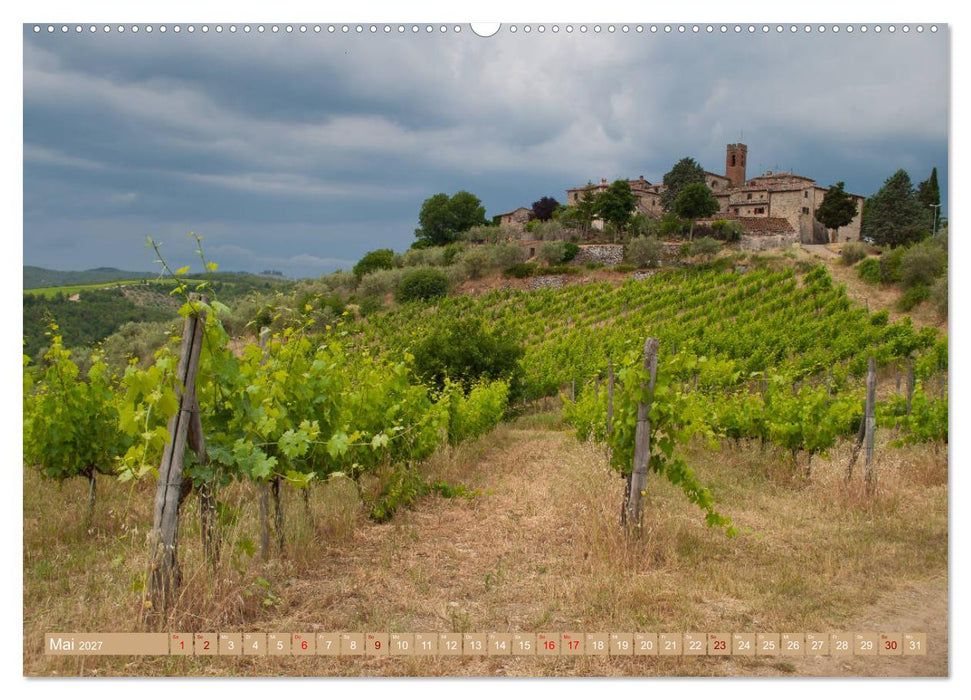 Wein - Landschaften (CALVENDO Premium Wandkalender 2027)