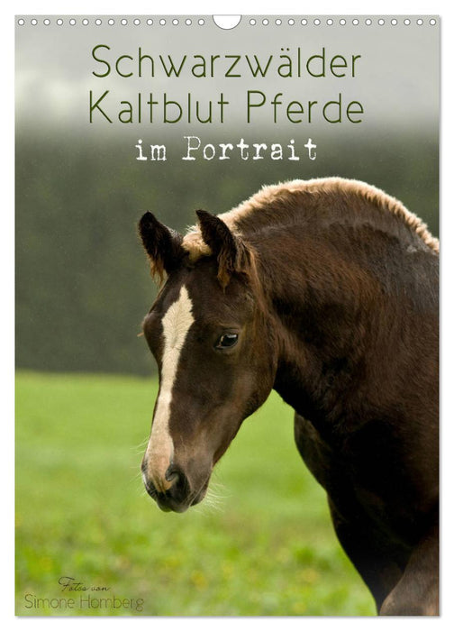 Schwarzwälder Kaltblut Pferde im Portrait (CALVENDO Wandkalender 2027)
