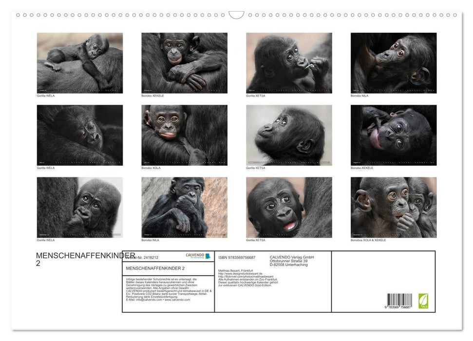 MENSCHENAFFENKINDER 2 (CALVENDO Wandkalender 2027)