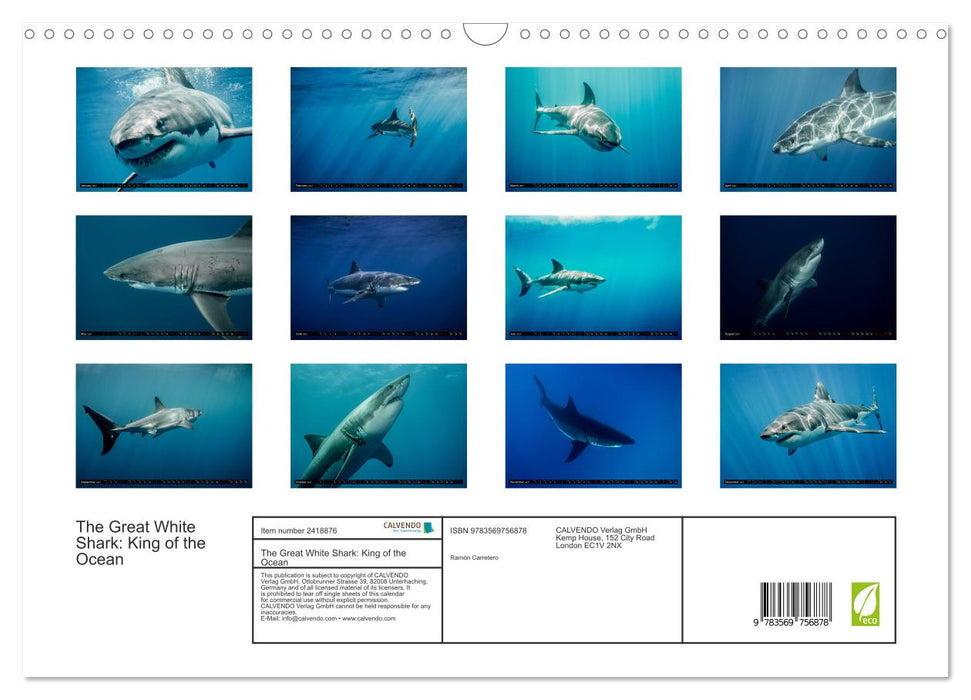 The Great White Shark: King of the Ocean (CALVENDO Monthly Calendar 2027)