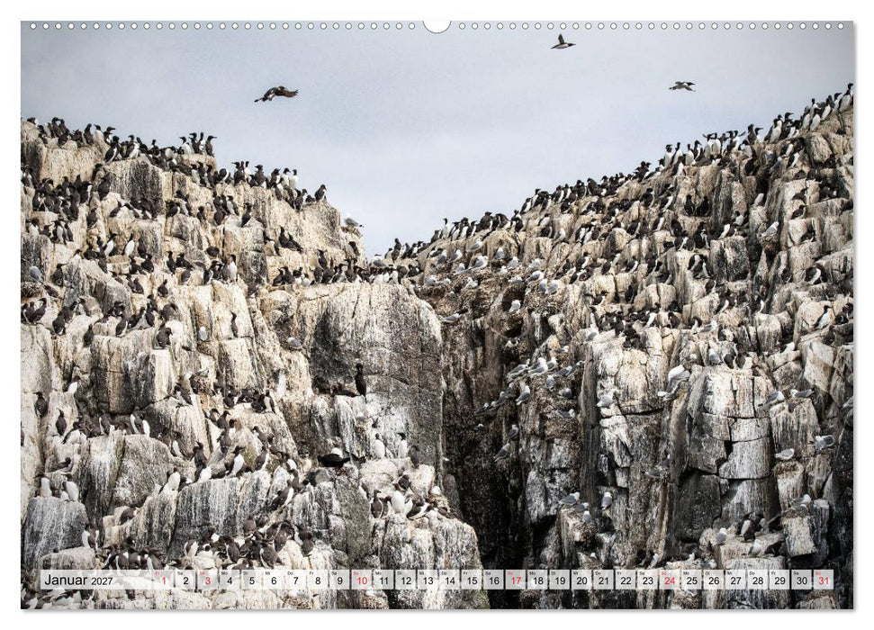 NORTHUMBERLAND 2027 (CALVENDO Premium Wandkalender 2027)