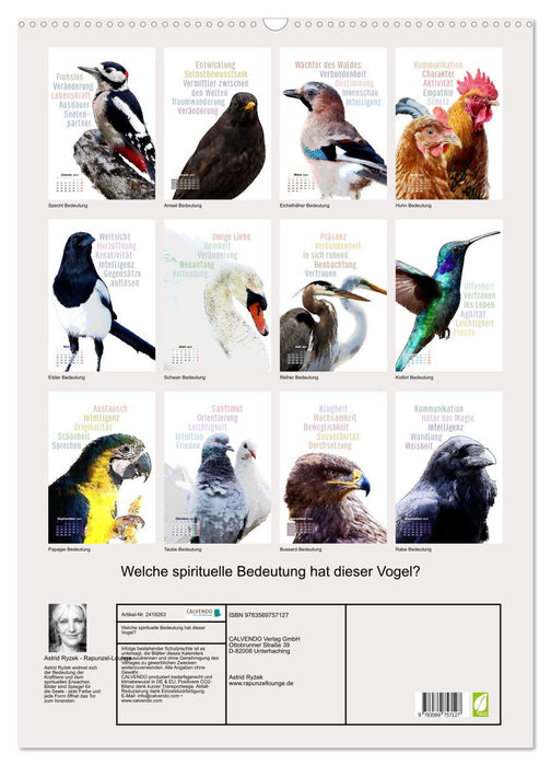 Welche spirituelle Bedeutung hat dieser Vogel? (CALVENDO Wandkalender 2027)