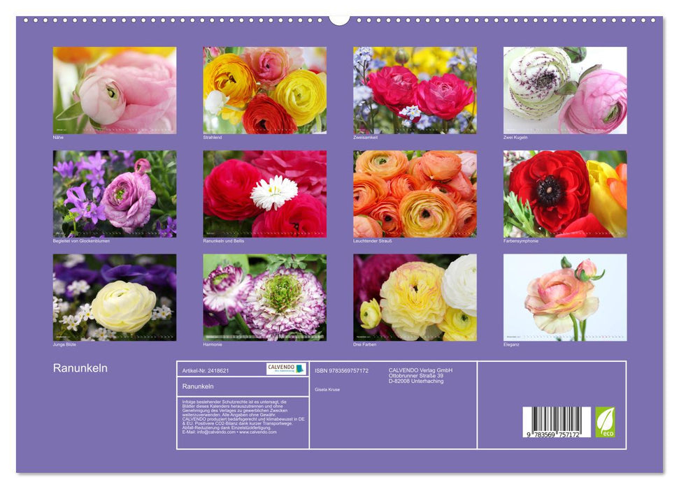 Ranunkeln (CALVENDO Premium Wandkalender 2027)
