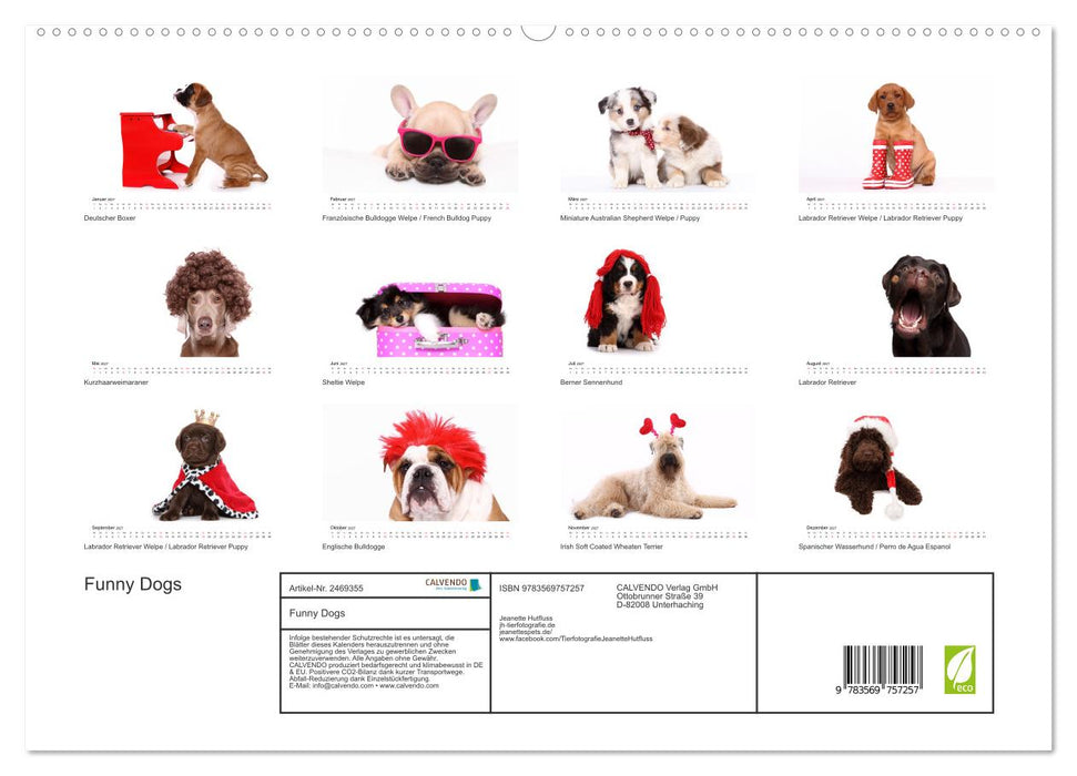 Funny Dogs (CALVENDO Premium Wandkalender 2027)