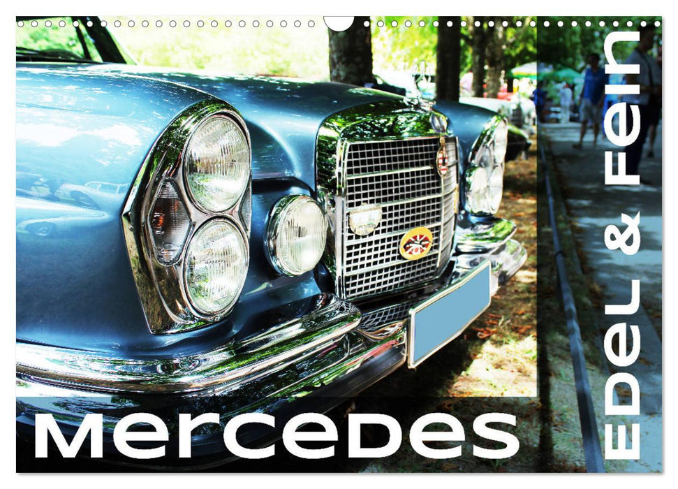 Mercedes Edel & Fein (CALVENDO Wandkalender 2027)
