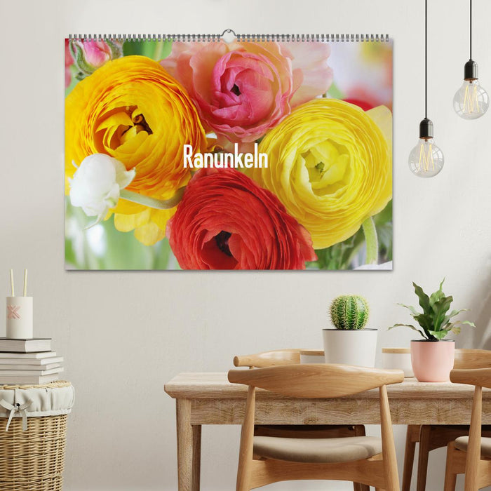 Ranunkeln (CALVENDO Wandkalender 2027)