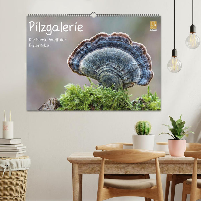 Pilzgalerie - Die bunte Welt der Baumpilze (CALVENDO Wandkalender 2027)