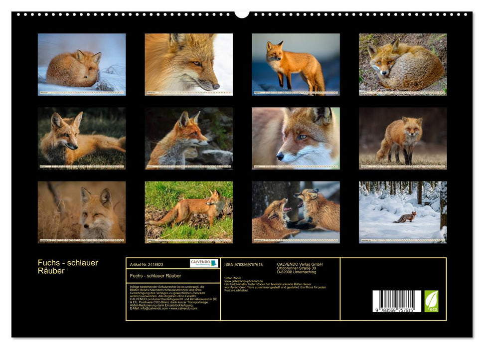 Fuchs - schlauer Räuber (CALVENDO Premium Wandkalender 2027)