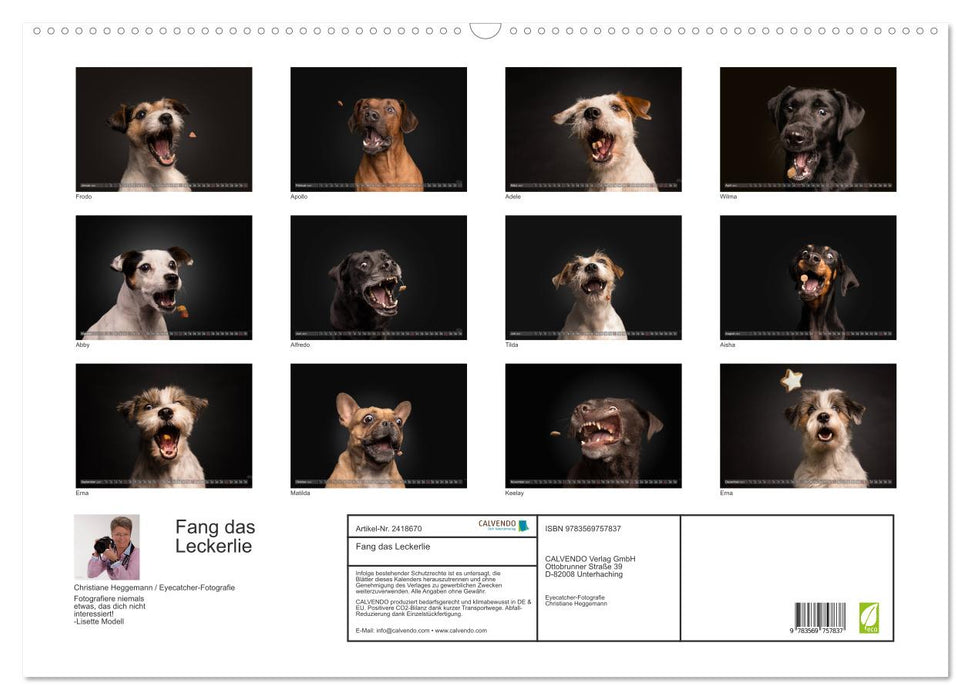 Fang das Leckerlie (CALVENDO Wandkalender 2027)