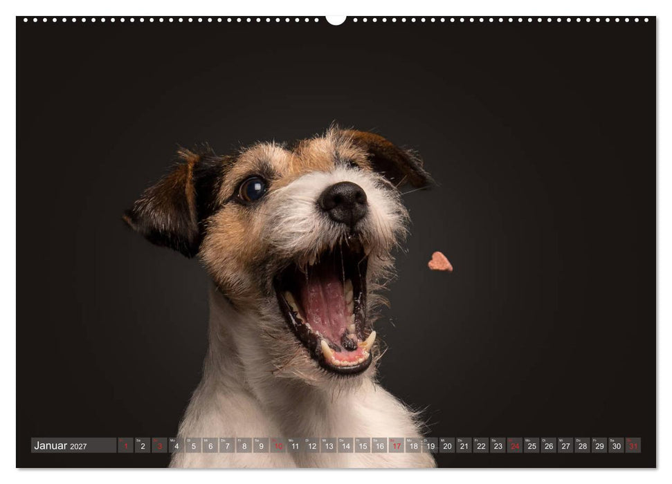 Fang das Leckerlie (CALVENDO Wandkalender 2027)