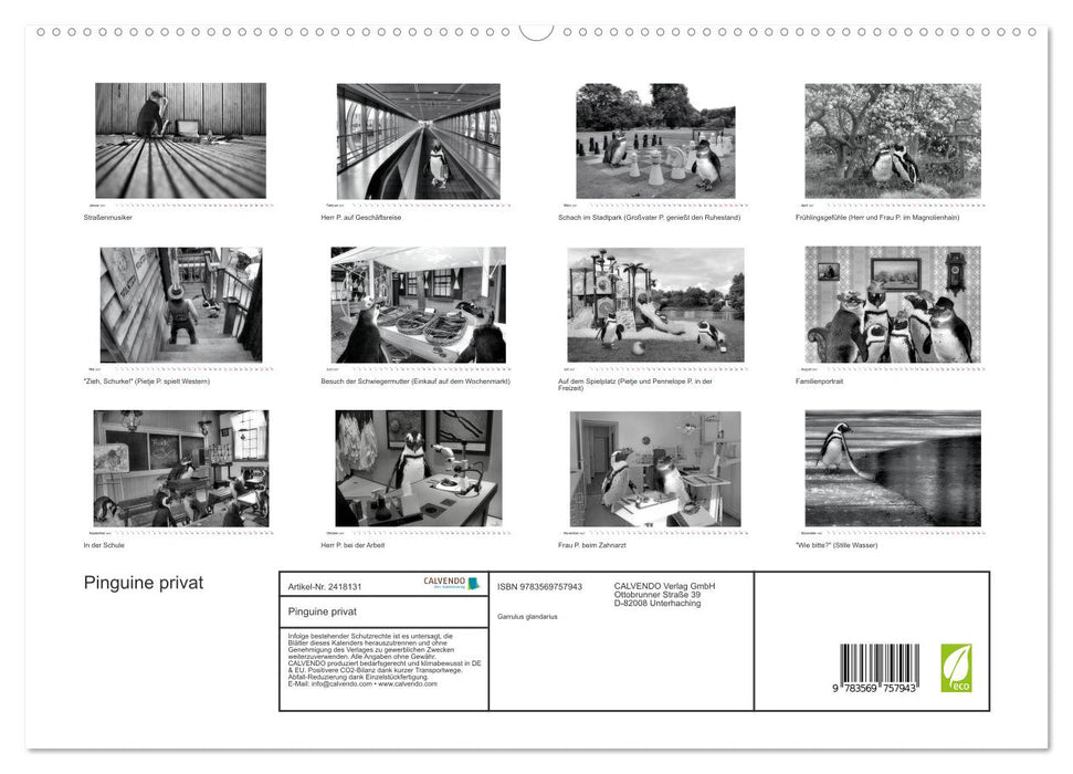 Pinguine privat (CALVENDO Premium Wandkalender 2027)