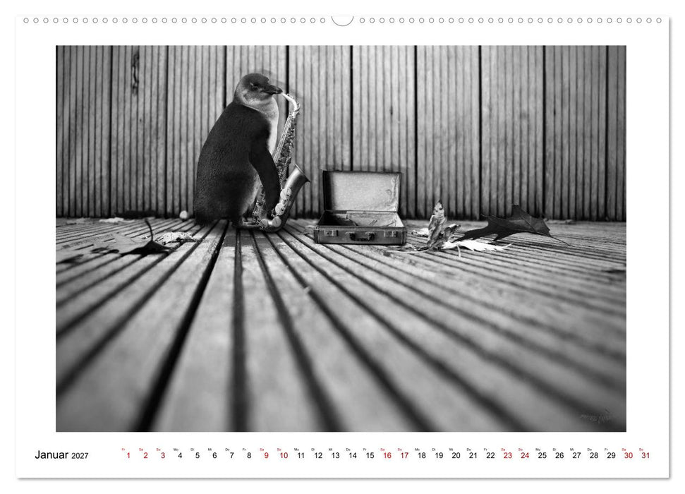 Pinguine privat (CALVENDO Premium Wandkalender 2027)