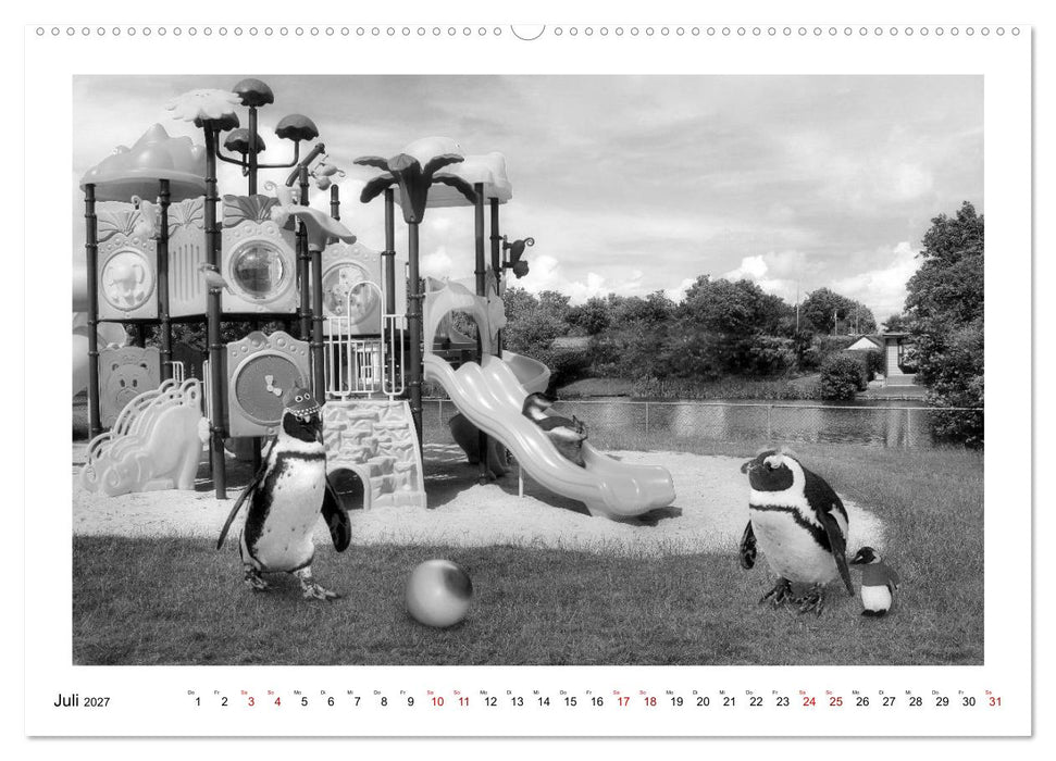 Pinguine privat (CALVENDO Premium Wandkalender 2027)