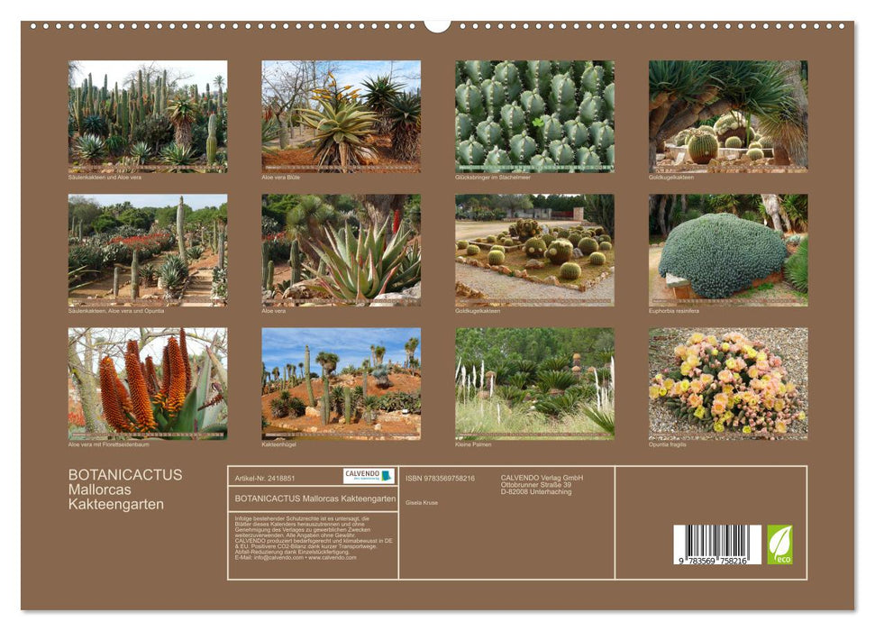 BOTANICACTUS Mallorcas Kakteengarten (CALVENDO Premium Wandkalender 2027)