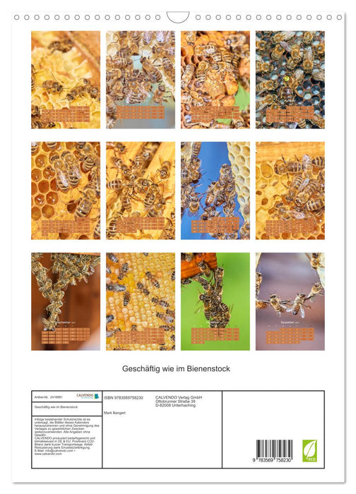 Geschäftig wie im Bienenstock (CALVENDO Wandkalender 2027)