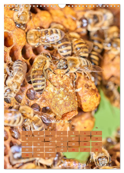Geschäftig wie im Bienenstock (CALVENDO Wandkalender 2027)