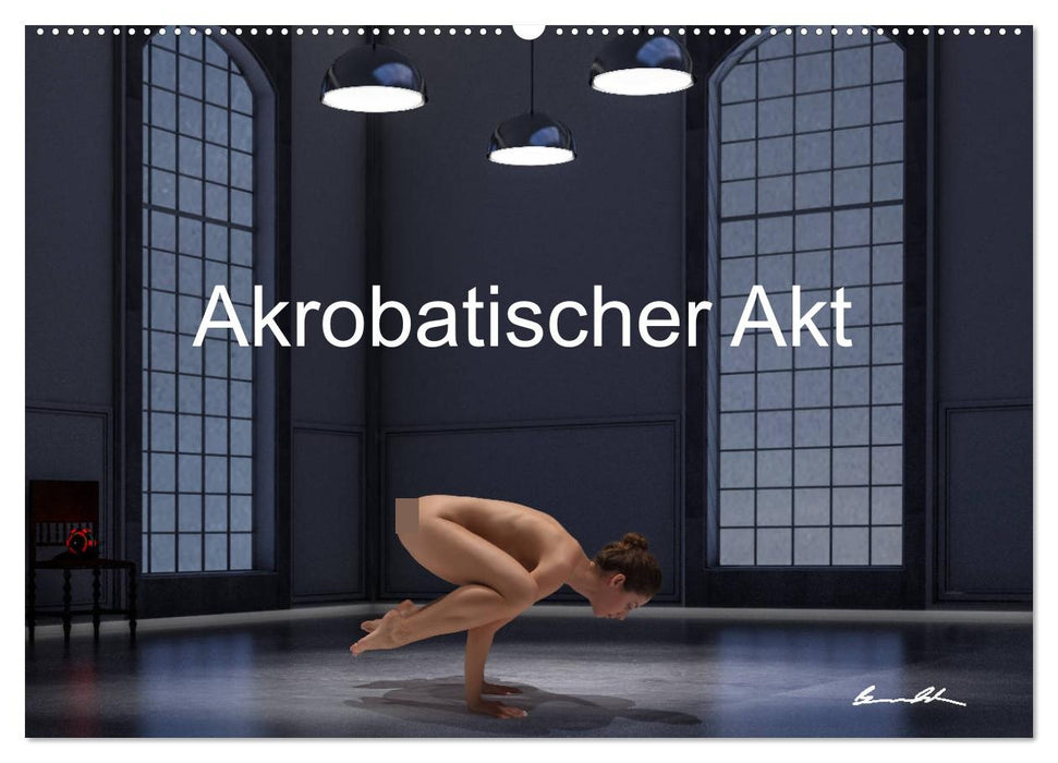 Der akrobatische Akt (CALVENDO Wandkalender 2027)