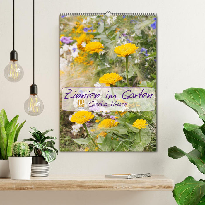 Zinnien im Garten (CALVENDO Wandkalender 2027)