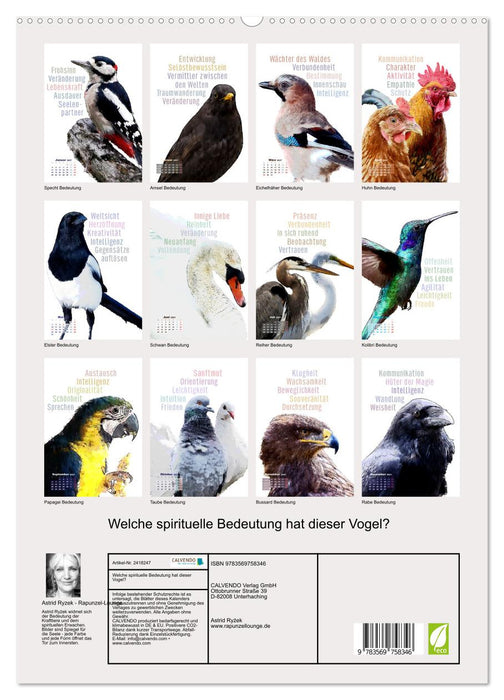 Welche spirituelle Bedeutung hat dieser Vogel? (CALVENDO Premium Wandkalender 2027)