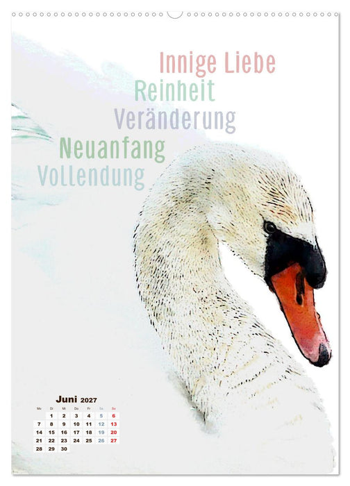 Welche spirituelle Bedeutung hat dieser Vogel? (CALVENDO Premium Wandkalender 2027)
