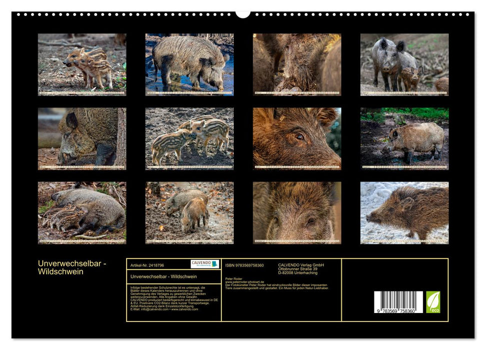Unverwechselbar - Wildschwein (CALVENDO Premium Wandkalender 2027)