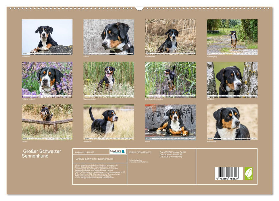 Großer Schweizer Sennenhund (CALVENDO Premium Wandkalender 2027)