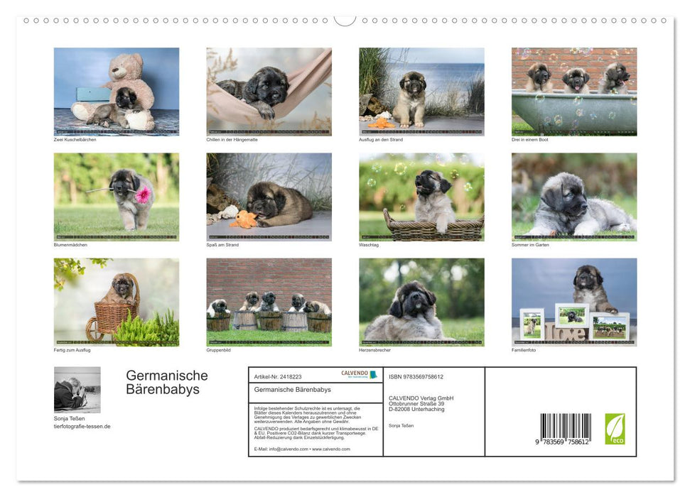 Germanische Bärenbabys (CALVENDO Premium Wandkalender 2027)