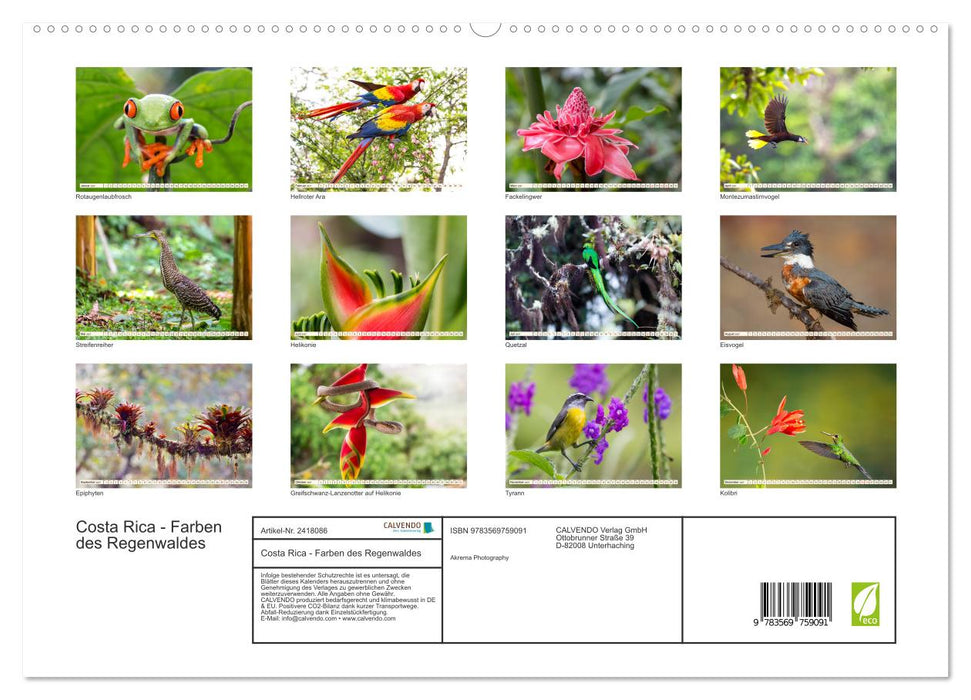 Costa Rica - Farben des Regenwaldes (CALVENDO Premium Wandkalender 2027)