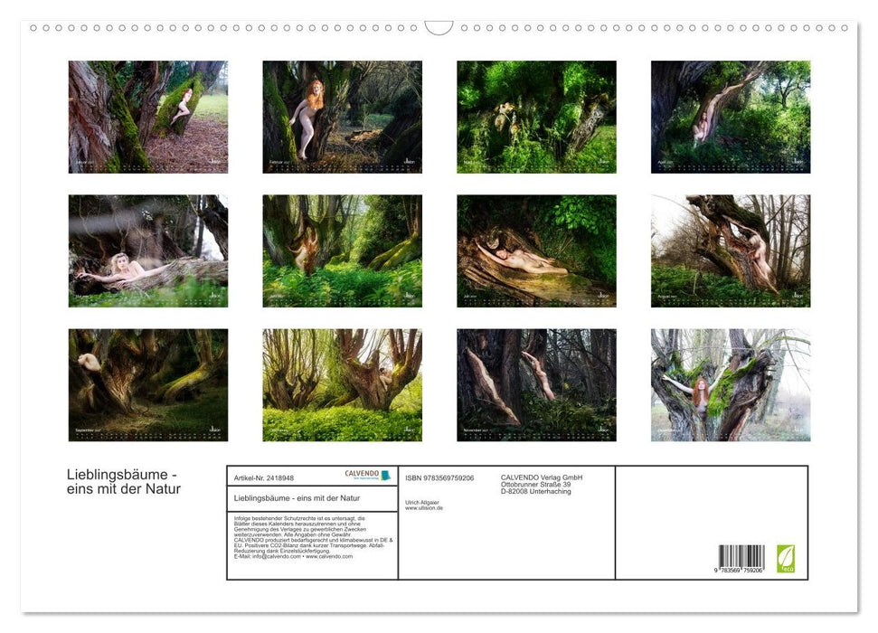 Lieblingsbäume - eins mit der Natur (CALVENDO Wandkalender 2027)