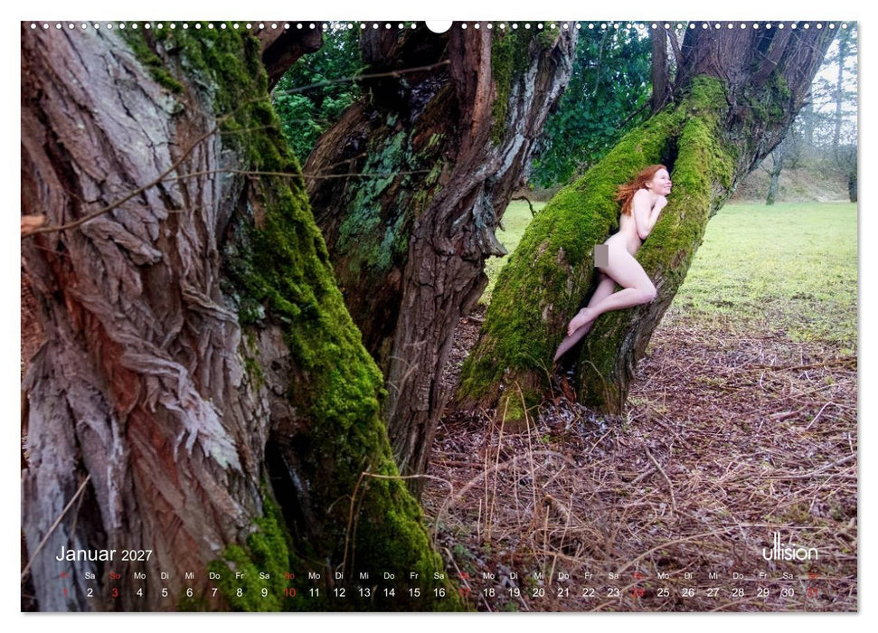 Lieblingsbäume - eins mit der Natur (CALVENDO Wandkalender 2027)