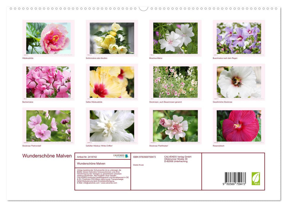 Wunderschöne Malven (CALVENDO Premium Wandkalender 2027)