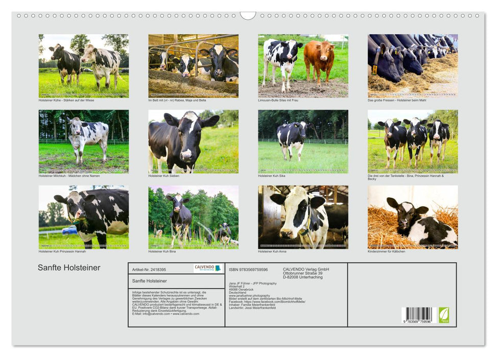 Sanfte Holsteiner (CALVENDO Wandkalender 2027)